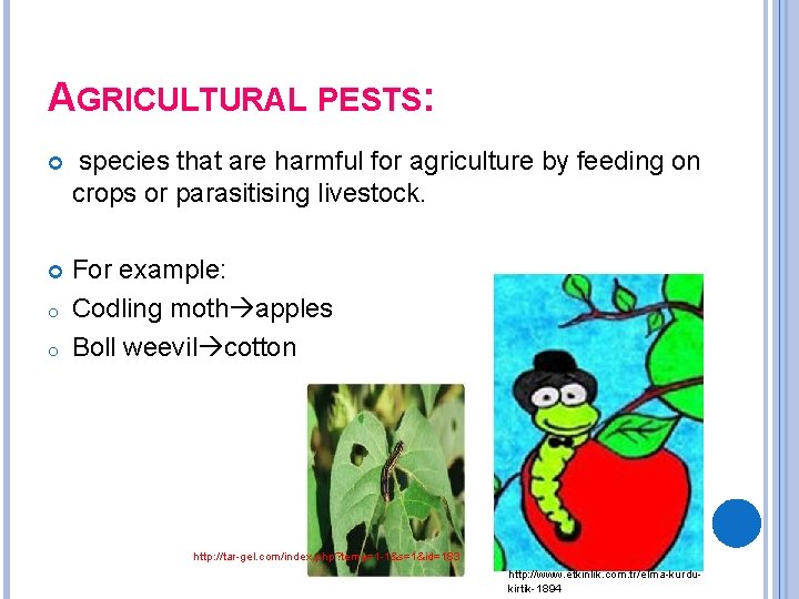 AGRICULTURAL PESTS: species that are harmful for agriculture by feeding on crops or parasitising