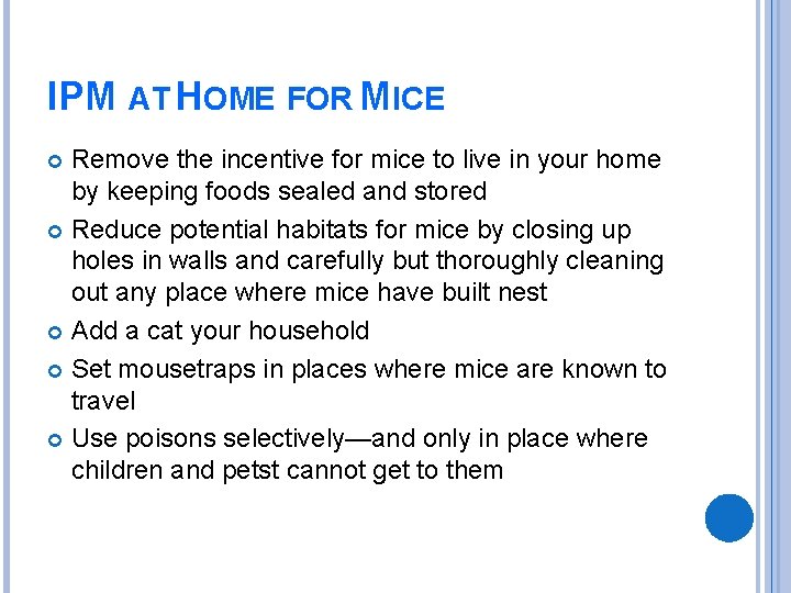 IPM AT HOME FOR MICE Remove the incentive for mice to live in your