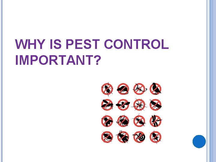 WHY IS PEST CONTROL IMPORTANT? 