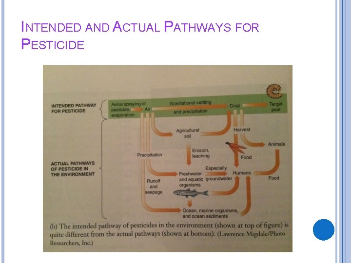 INTENDED AND ACTUAL PATHWAYS FOR PESTICIDE 