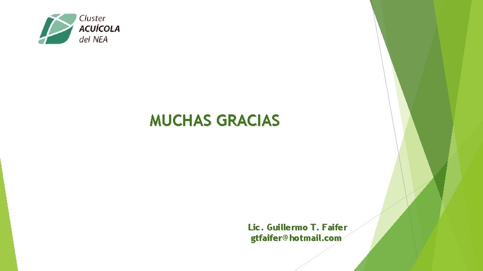 MUCHAS GRACIAS Lic. Guillermo T. Faifer gtfaifer@hotmail. com 