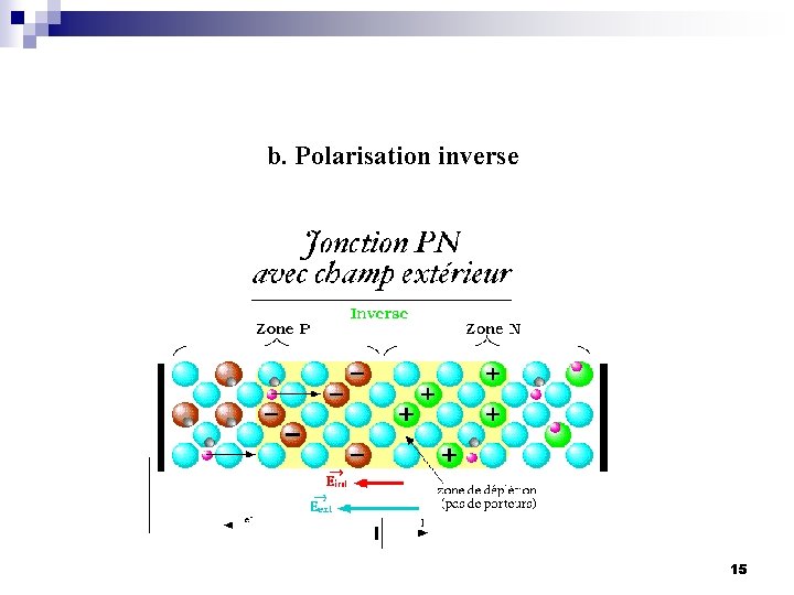 b. Polarisation inverse 15 