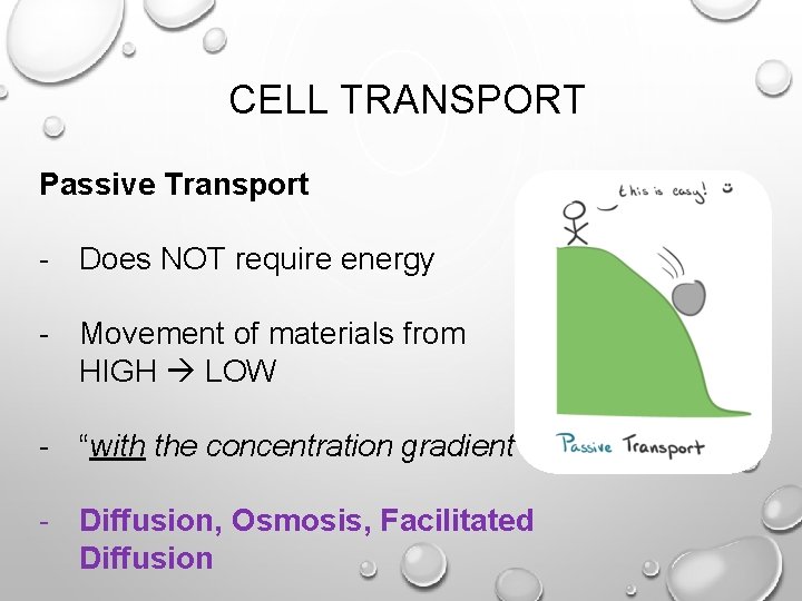 CELL TRANSPORT Passive Transport - Does NOT require energy - Movement of materials from