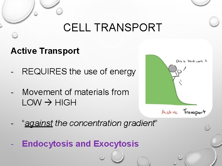 CELL TRANSPORT Active Transport - REQUIRES the use of energy - Movement of materials