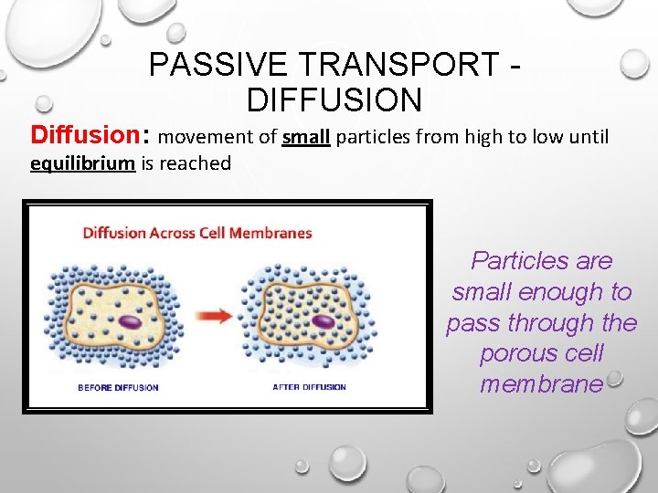 PASSIVE TRANSPORT DIFFUSION Diffusion: movement of small particles from high to low until equilibrium