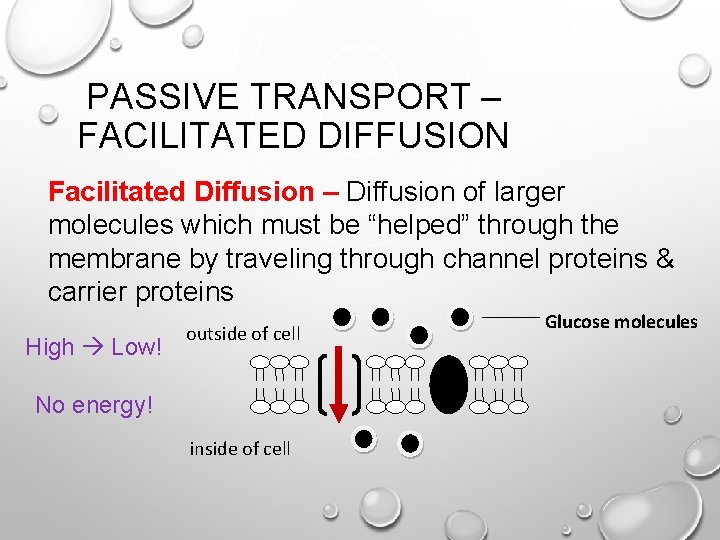 PASSIVE TRANSPORT – FACILITATED DIFFUSION Facilitated Diffusion – Diffusion of larger molecules which must
