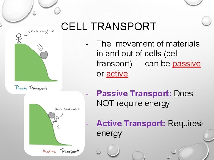 CELL TRANSPORT - The movement of materials in and out of cells (cell transport)