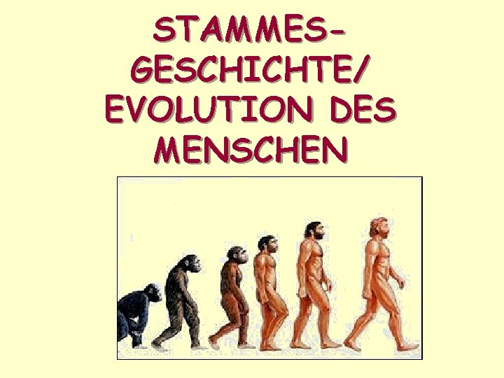 STAMMESGESCHICHTE/ EVOLUTION DES MENSCHEN 