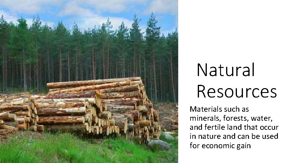 Natural Resources Materials such as minerals, forests, water, and fertile land that occur in