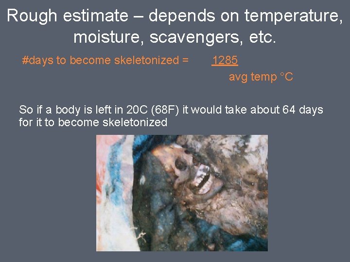 Rough estimate – depends on temperature, moisture, scavengers, etc. #days to become skeletonized =