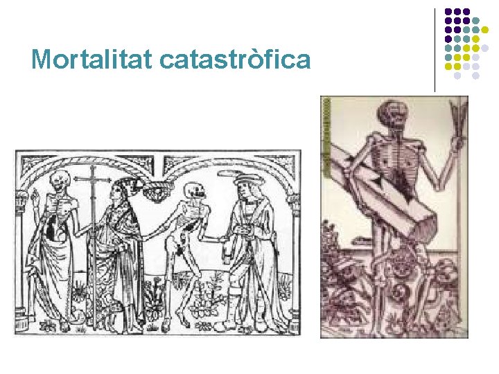 Mortalitat catastròfica 