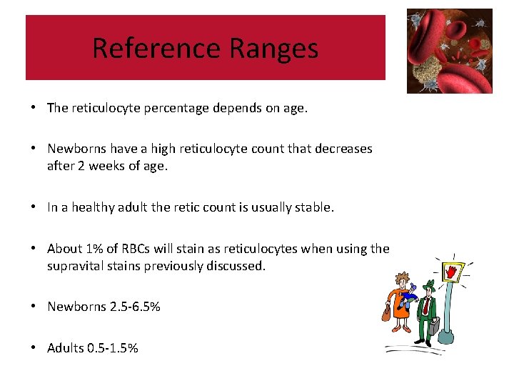 Reference Ranges • The reticulocyte percentage depends on age. • Newborns have a high