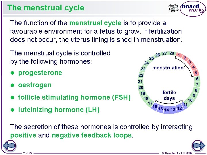 The menstrual cycle The function of the menstrual cycle is to provide a favourable