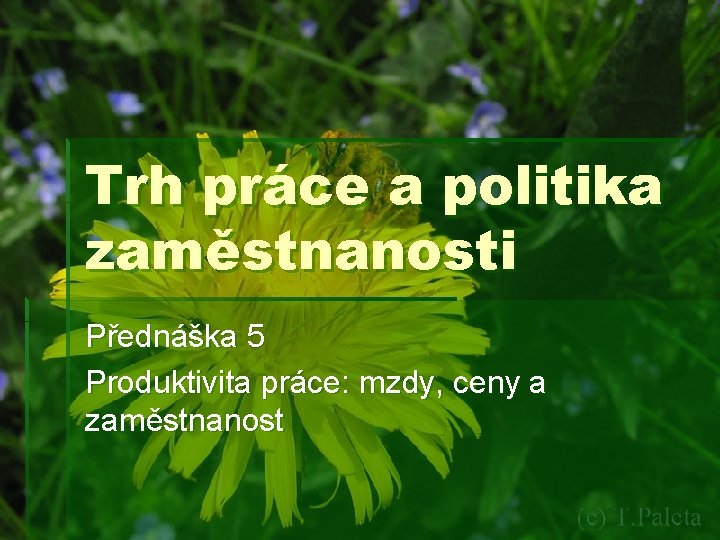 Trh práce a politika zaměstnanosti Přednáška 5 Produktivita práce: mzdy, ceny a zaměstnanost 
