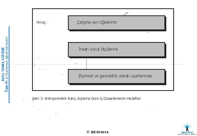 REFA-TEMEL EĞİTİMİ Ünite 19: İş Düzenlemesi Ağırlık Merkezleri Amaç: Çalışma yeri öğelerinin İnsan vücut