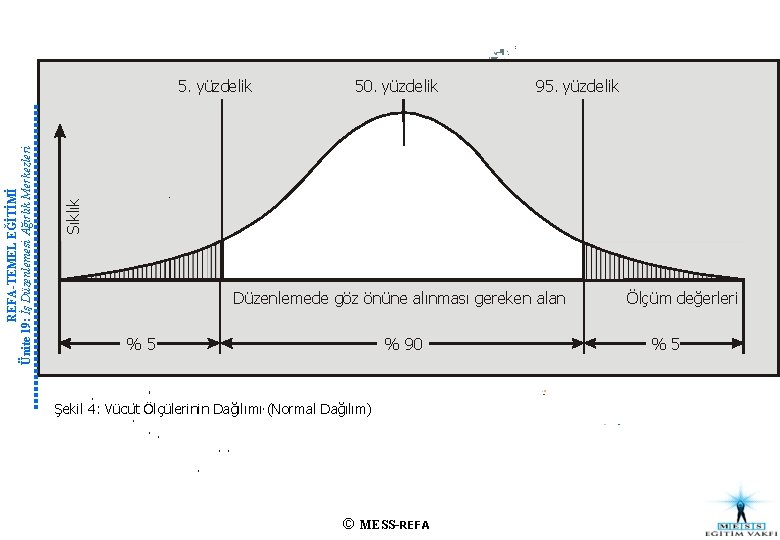 Sıklık REFA-TEMEL EĞİTİMİ Ünite 19: İş Düzenlemesi Ağırlık Merkezleri 5. yüzdelik 50. yüzdelik 95.