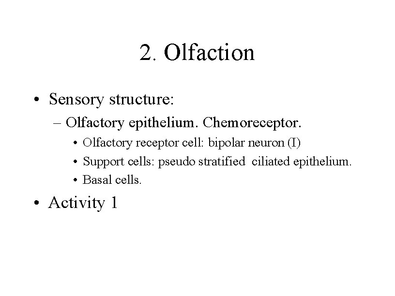 2. Olfaction • Sensory structure: – Olfactory epithelium. Chemoreceptor. • Olfactory receptor cell: bipolar