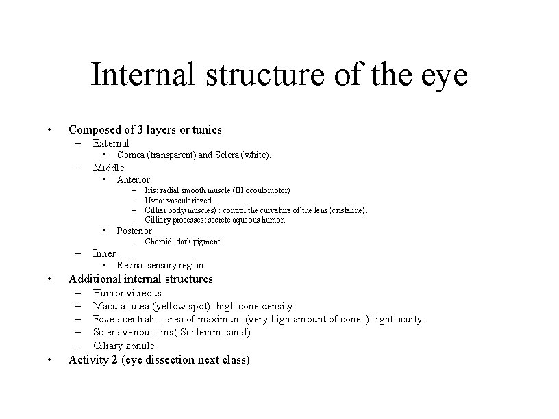 Internal structure of the eye • Composed of 3 layers or tunics – External