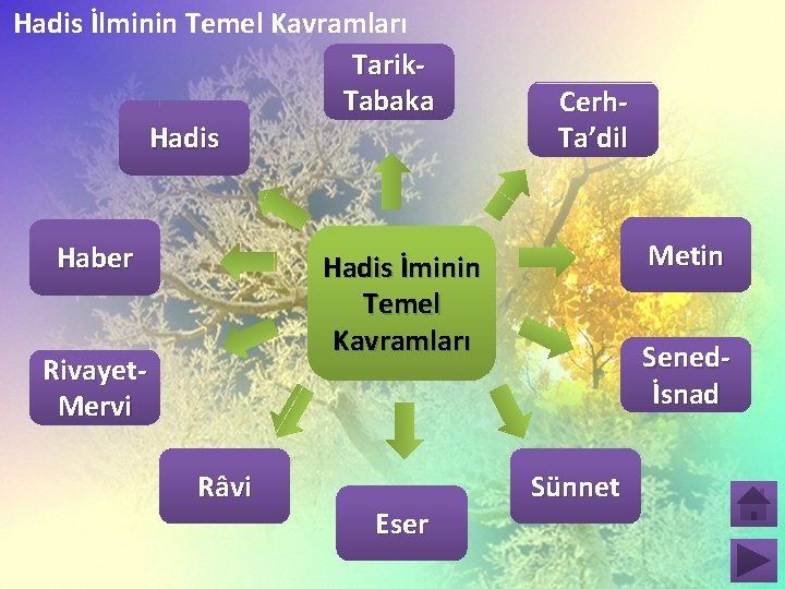 Hadis İlminin Temel Kavramları Tarik. Tabaka Hadis Haber Cerh. Ta’dil Metin Hadis İminin Temel Hadis İlminin Temel Kavramları Tarik. Tabaka Hadis Haber Cerh. Ta’dil Metin Hadis İminin Temel