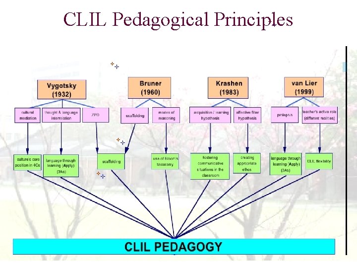 CLIL Pedagogical Principles 