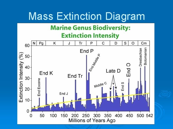 Mass Extinction Diagram 