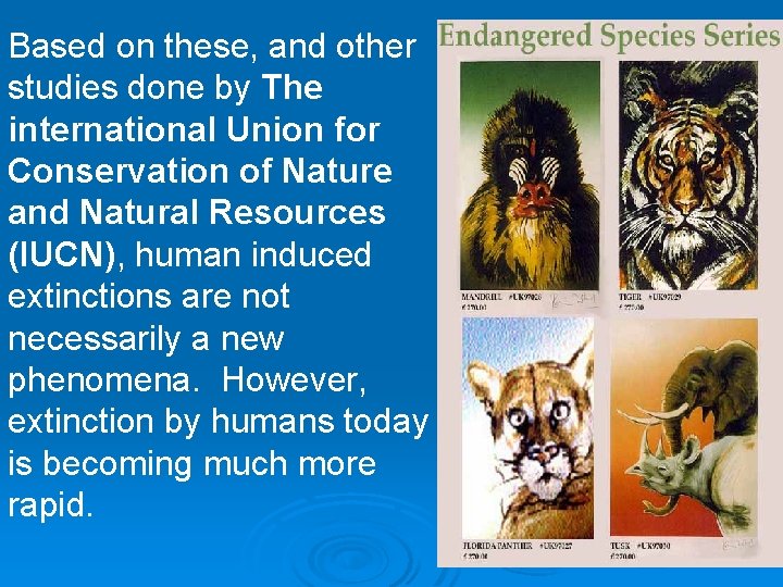 Based on these, and other studies done by The international Union for Conservation of