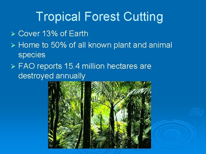 Tropical Forest Cutting Cover 13% of Earth Ø Home to 50% of all known