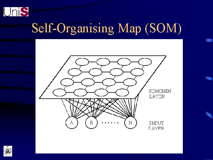 Self-Organising Map (SOM) 