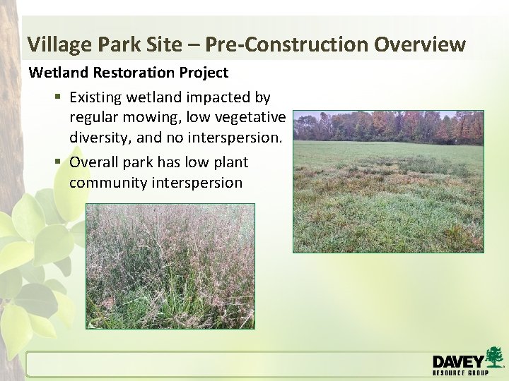 Village Park Site – Pre-Construction Overview Wetland Restoration Project § Existing wetland impacted by