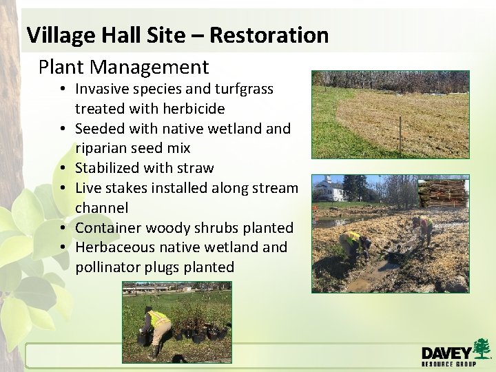 Village Hall Site – Restoration Plant Management • Invasive species and turfgrass treated with