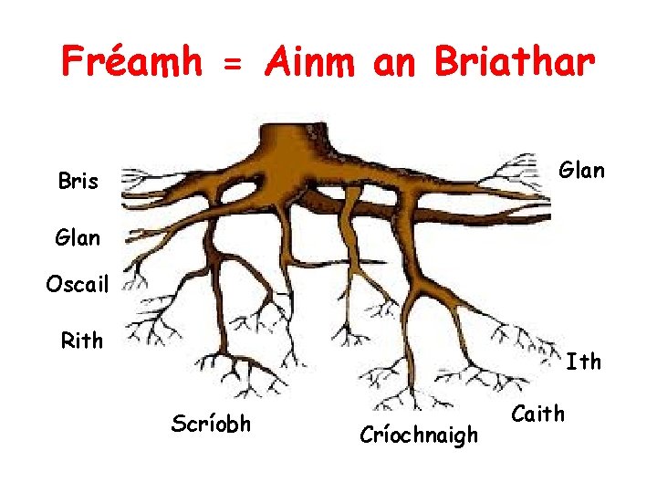 Fréamh = Ainm an Briathar Glan Bris Glan Oscail Rith Ith Scríobh Críochnaigh Caith