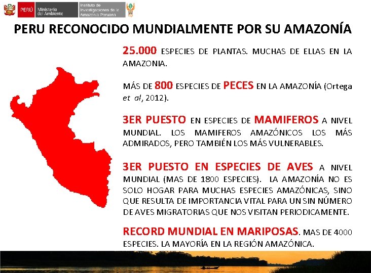 PERU RECONOCIDO MUNDIALMENTE POR SU AMAZONÍA 25. 000 ESPECIES DE PLANTAS. MUCHAS DE ELLAS