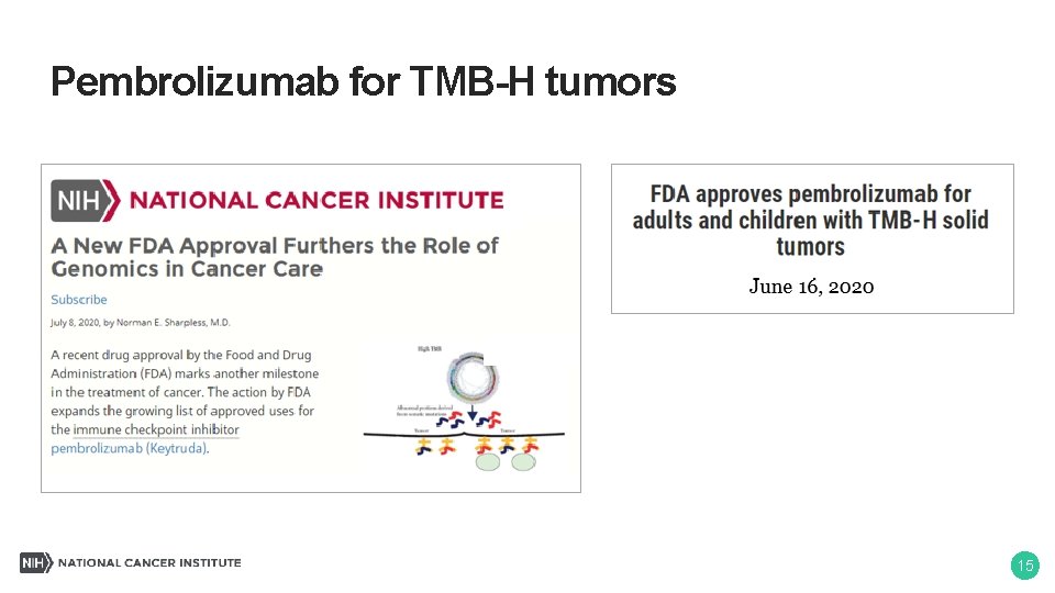 Pembrolizumab for TMB-H tumors 15 
