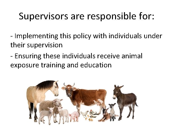 Supervisors are responsible for: - Implementing this policy with individuals under their supervision -