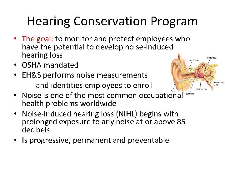 Hearing Conservation Program • The goal: to monitor and protect employees who have the