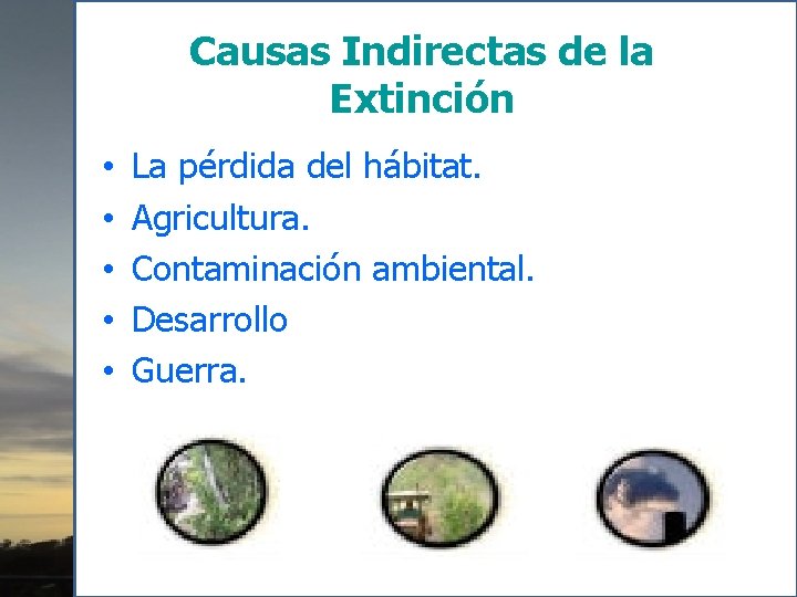 Causas Indirectas de la Extinción • • • La pérdida del hábitat. Agricultura. Contaminación