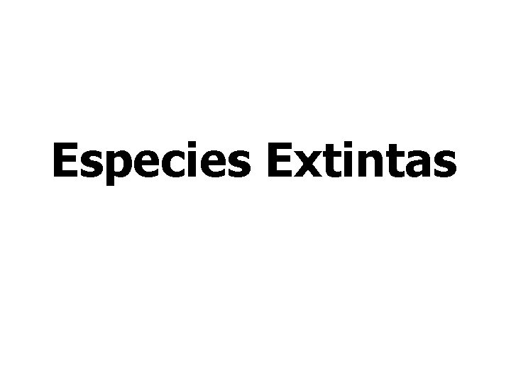 Especies Extintas 