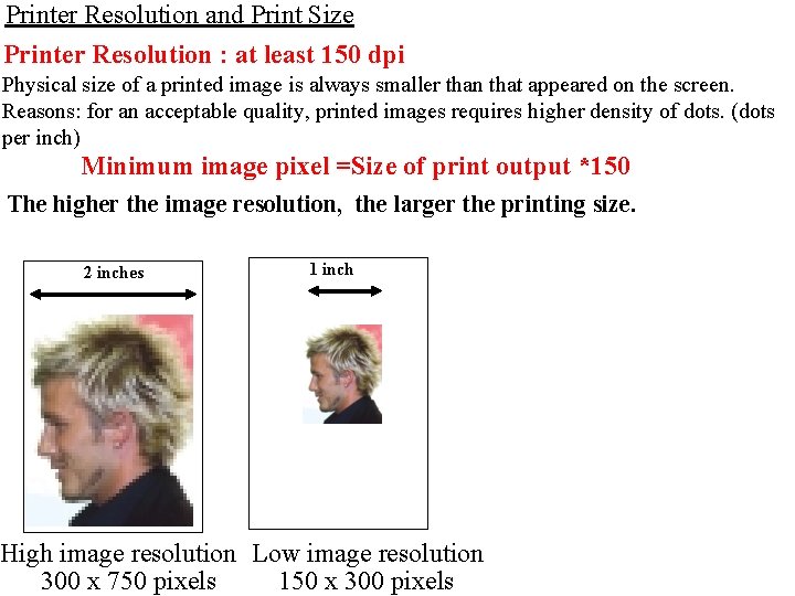 Printer Resolution and Print Size Printer Resolution : at least 150 dpi Physical size