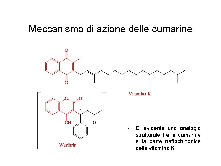 Meccanismo di azione delle cumarine • E’ evidente una analogia strutturale tra le cumarine Meccanismo di azione delle cumarine • E’ evidente una analogia strutturale tra le cumarine