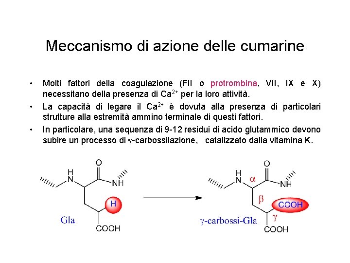 Meccanismo di azione delle cumarine • • • Molti fattori della coagulazione (FII o