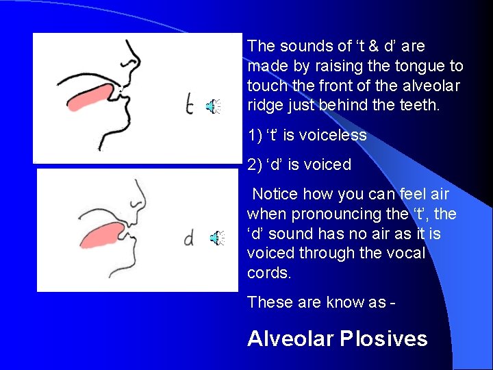 The sounds of ‘t & d’ are made by raising the tongue to touch