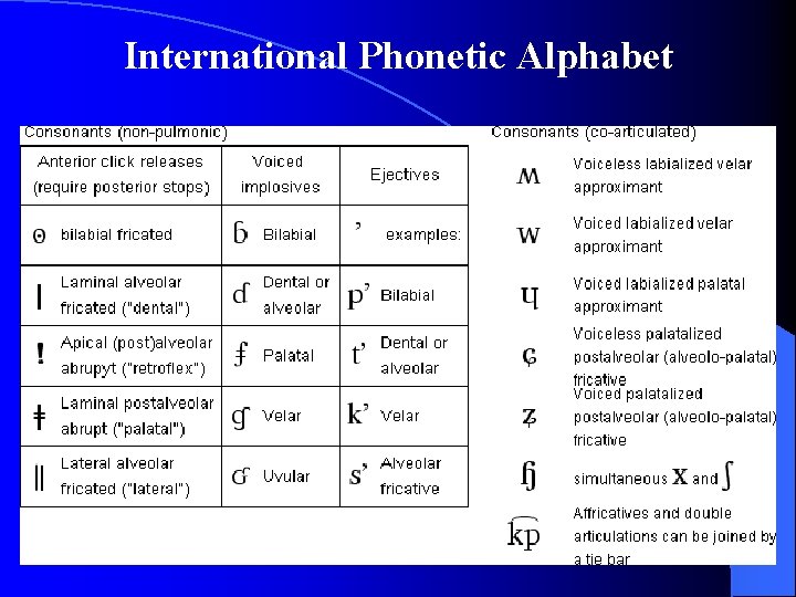 International Phonetic Alphabet 