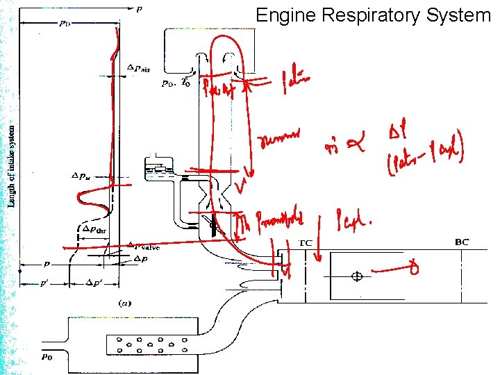 Engine Respiratory System Engine Respiratory System