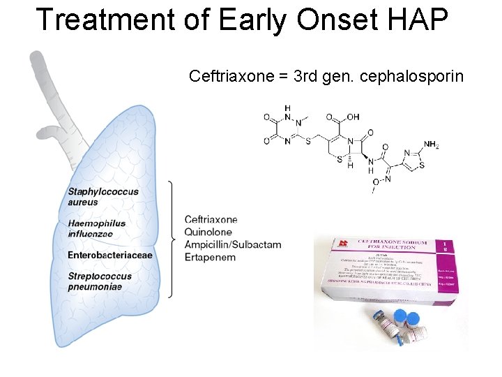 Treatment of Early Onset HAP Ceftriaxone = 3 rd gen. cephalosporin 