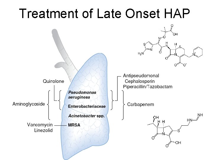 Treatment of Late Onset HAP 