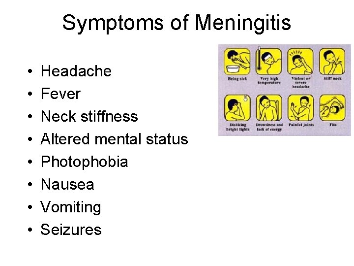 Symptoms of Meningitis • • Headache Fever Neck stiffness Altered mental status Photophobia Nausea