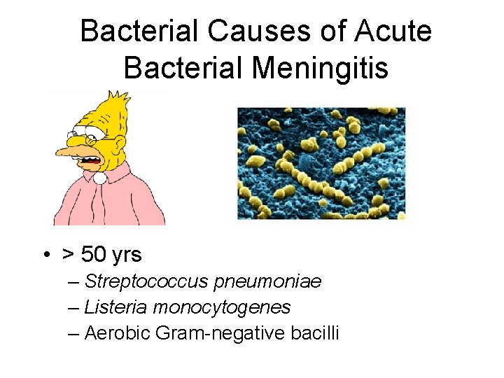 Bacterial Causes of Acute Bacterial Meningitis • > 50 yrs – Streptococcus pneumoniae –