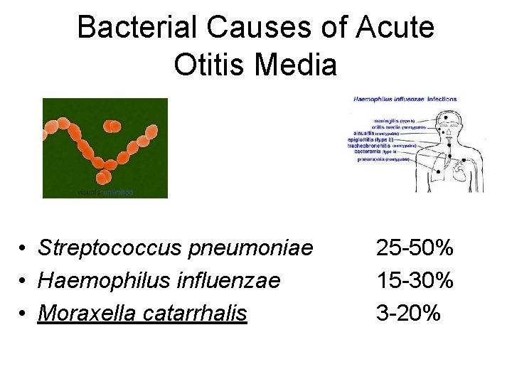 Bacterial Causes of Acute Otitis Media • Streptococcus pneumoniae • Haemophilus influenzae • Moraxella
