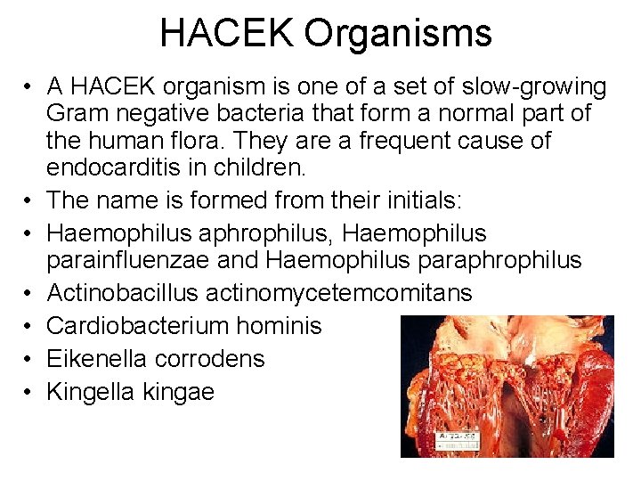 HACEK Organisms • A HACEK organism is one of a set of slow-growing Gram