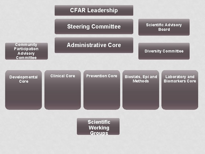 CFAR Leadership Steering Committee Community Participation Advisory Committee Developmental Core Scientific Advisory Board Administrative